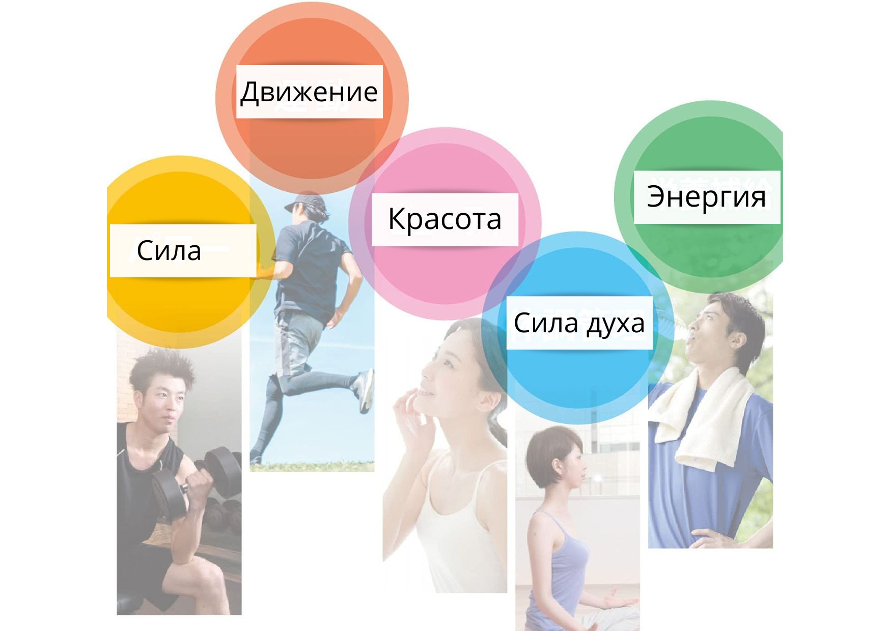 Японские товары для спорта: грамотный подход в каждой детали!