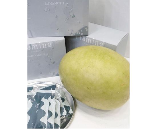 Комплекс c минералами в хелатной форме PLAMINE Core Care Minamoto