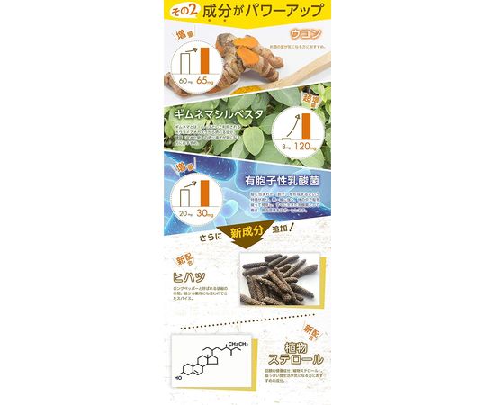 Диетический комплекс для снижения веса Gold Diet - Enzyme, Ukon & Ginger SHINYA KOSO